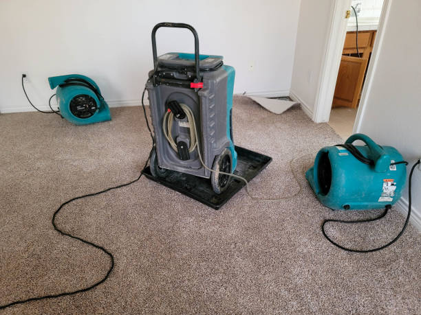 Best Basement water damage restoration  in Watertown, FL