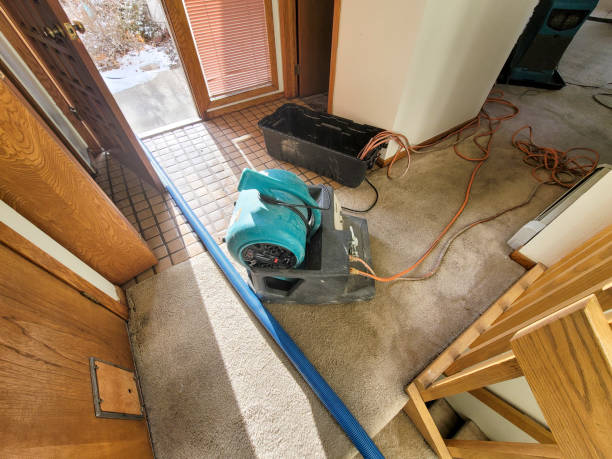 Water damage restoration experts in Watertown, FL