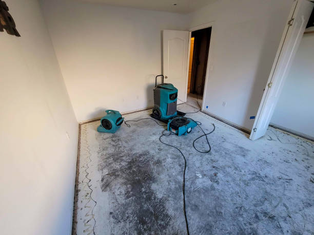 Best Commercial water damage restoration  in Watertown, FL