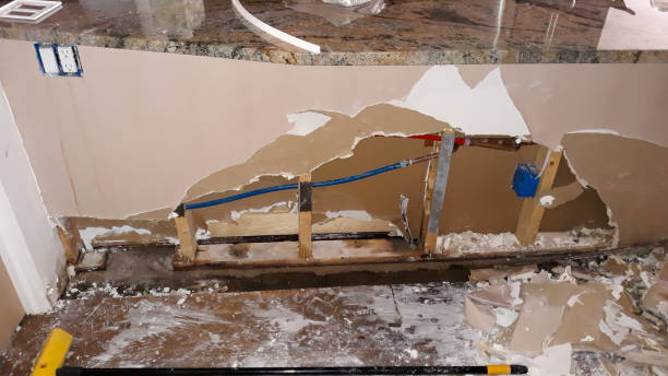 Best Water damage cleanup near me  in Watertown, FL