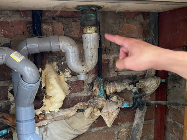 Best Water damage contractors near me  in Watertown, FL