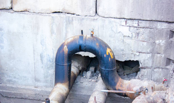 Best Mold removal after water damage  in Watertown, FL