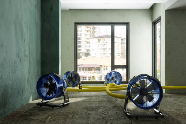 Best Emergency water damage restoration  in Watertown, FL